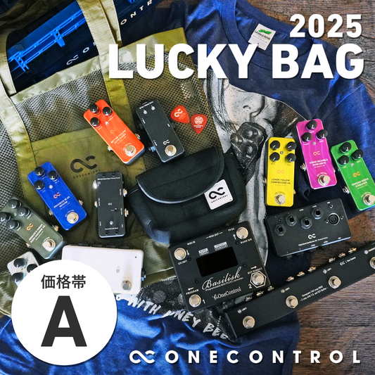 LUCKY BAG 2025 エフェクターとスイッチャー・周辺機器を選べるセット [価格帯A]