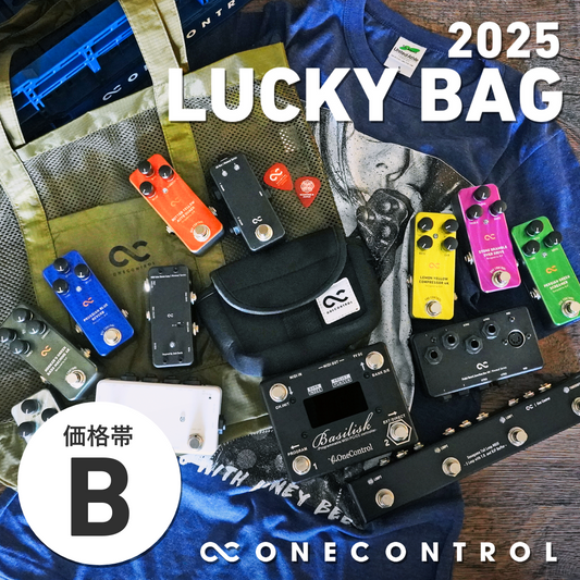 LUCKY BAG 2025 エフェクターとスイッチャー・周辺機器を選べるセット [価格帯B]